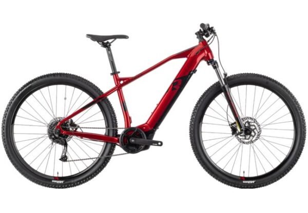 R RAYMON HardRay E 4.0 29" 2022 – Image 3