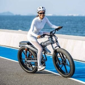 Engwe X26 1000W 26" Fat Bike Pliable E-Mountain Bike Double Batteries EMTB