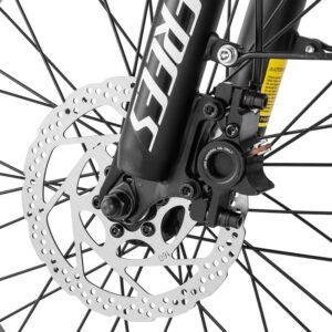 Fafrees F20 Master 500W 20" Fat Bike VTC électrique