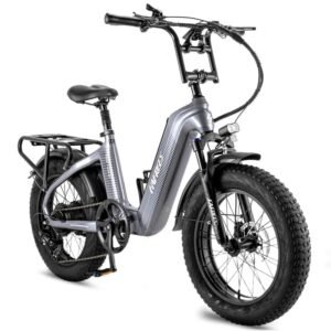 Fafrees F20 Master 500W 20" Fat Bike VTC électrique