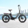 Fafrees F20 Pro 250W 20" Vélo électrique pliant - Noir