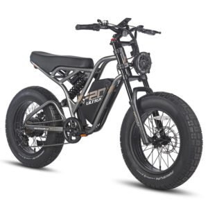 Fafrees F20 ultra 750W 20" Fat Bike