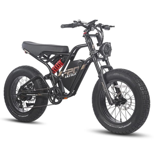 Fafrees F20 ultra 750W 20" Fat Bike – Image 5