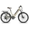 Fafrees F26 Pro 250W 26" Vélo de trekking électrique - Or