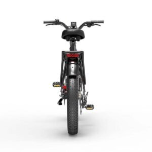 VTC électrique Dukawey DM530 Plus 1000W 26"