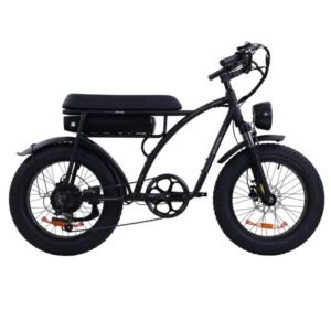 Vélo électrique Bezior XF001 PLUS
