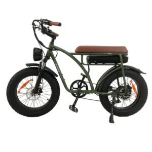 Vélo électrique Bezior XF001 PLUS