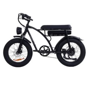 Vélo électrique Bezior XF001 PLUS