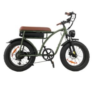 Vélo électrique Bezior XF001 PLUS