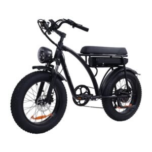 Vélo électrique Bezior XF001 PLUS