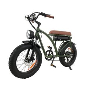 Vélo électrique Bezior XF001 PLUS