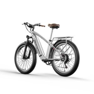 Vélo électrique rétro Shengmilo MX04