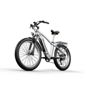 Vélo électrique rétro Shengmilo MX04