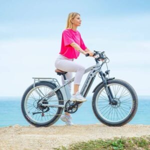 Vélo électrique rétro Shengmilo MX04