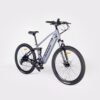 Biwbik WILLOW VTT électrique – Image 2