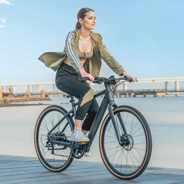 Fiido E-Gravel C21 vélo électrique – Image 5