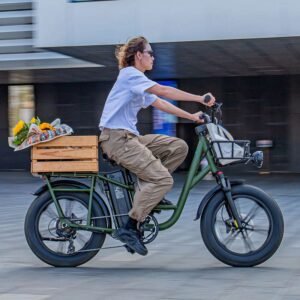Fiido T1 Pro Vélo électrique Cargo