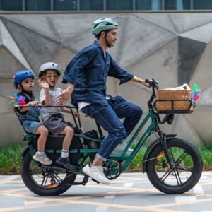 Fiido T2 Vélo électrique Longtail Fatbike Cargo