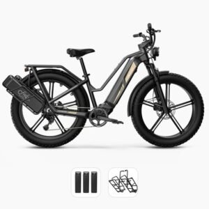 Fiido Titan Vélo électrique Cross & Randonnée