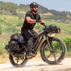 Fiido Titan Vélo électrique Cross & Randonnée