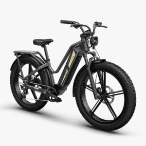 Fiido Titan Vélo électrique Cross & Randonnée