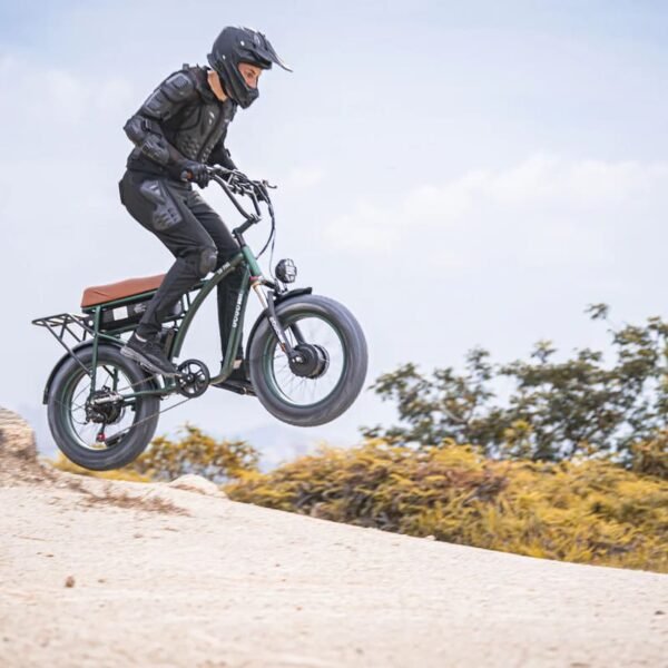 Vélo de ville électrique GOGOBEST GF750 – Image 3