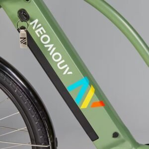 Vélo tout chemin électrique NEOMOUV RAIPON 2