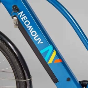 Vélo tout chemin électrique NEOMOUV RAIPON