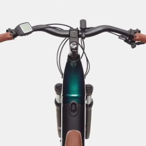 Cannondale Adventure Neo 1 EQ