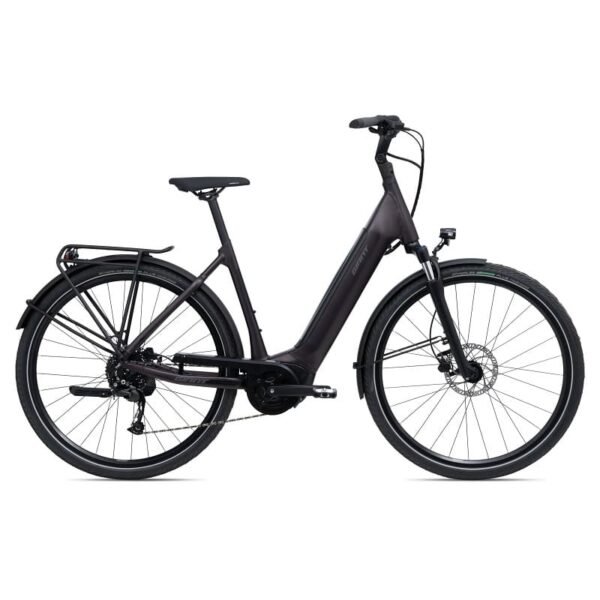 Giant DailyTour E+ 3 LDS (RideDash Evo)