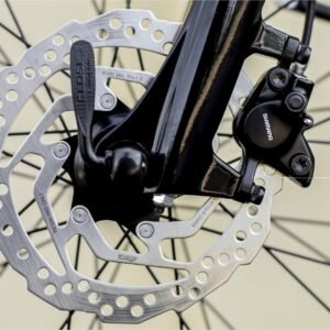 Trek District+ 1 Lowstep 500Wh 7V 2022 Bleu